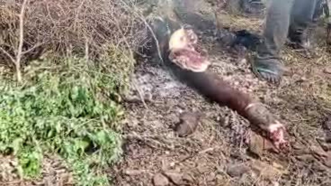 Fulani herdsmen eating human flesh